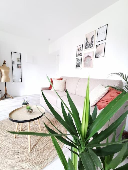 L'Authentique *Studio *Parking Prive* *Wifi*Calme Lourdes Exterior foto